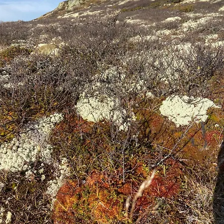 Med Panoramautsikt I Uvdal Nordstebo