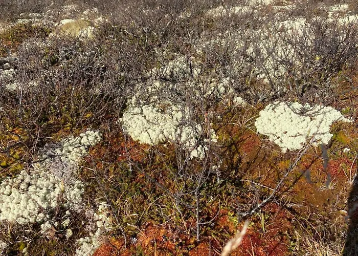 Med Panoramautsikt I Uvdal Nordstebo